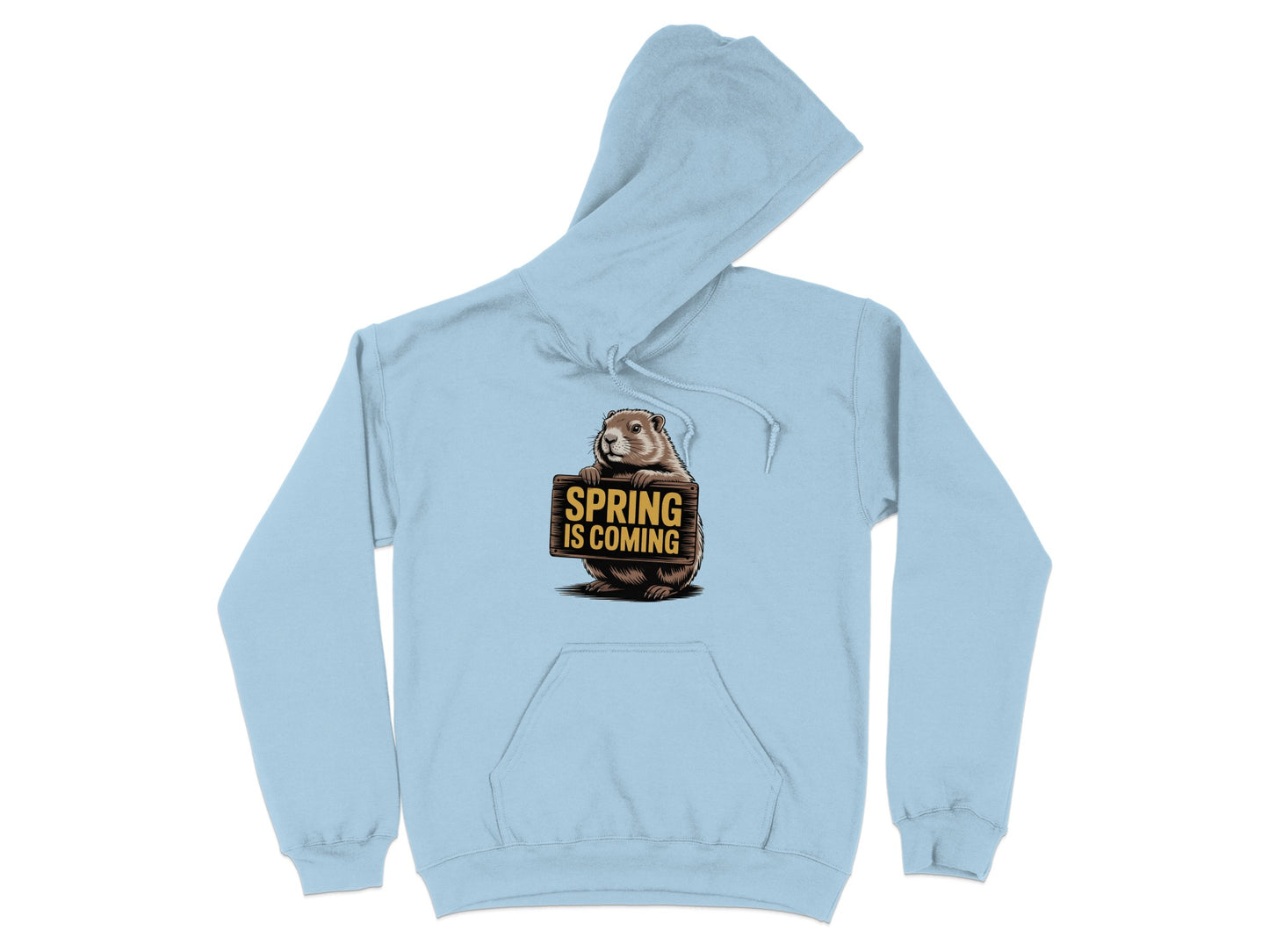 Spring is coming groundhog themed hoodie product type