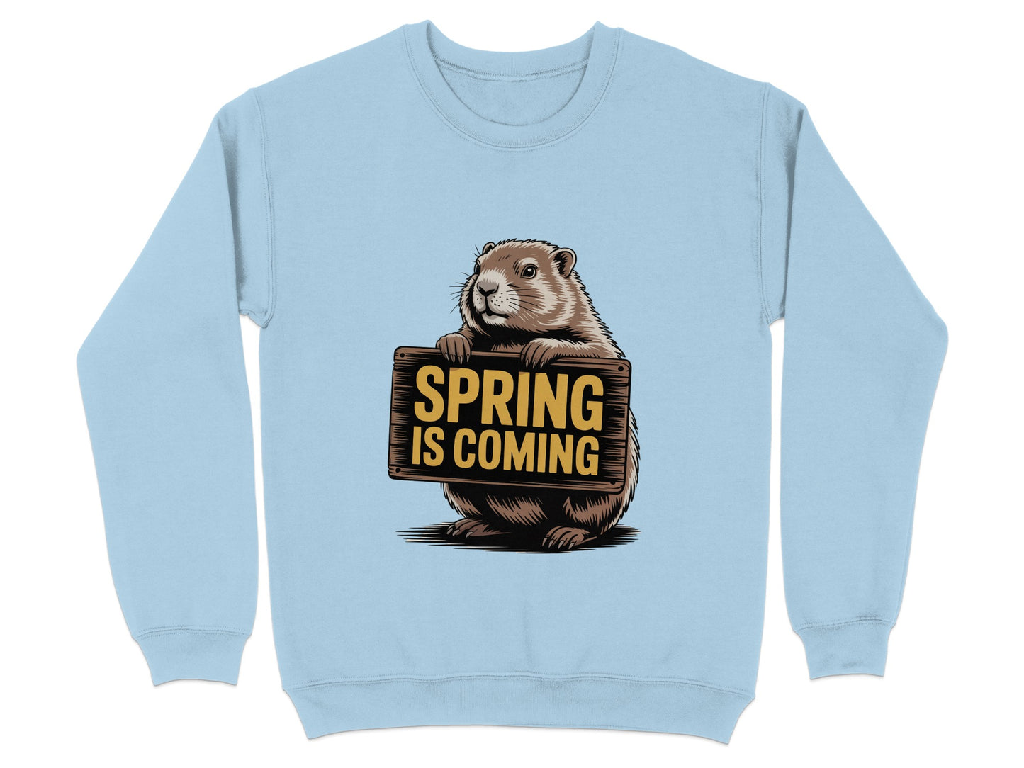 Spring is Coming Groundhog Sweatshirt product type