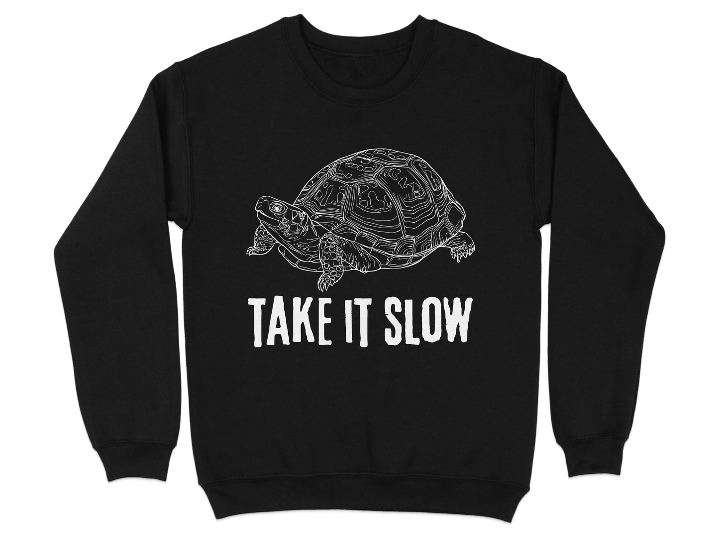 Take It Slow Turtle Graphic Sweatshirt product type