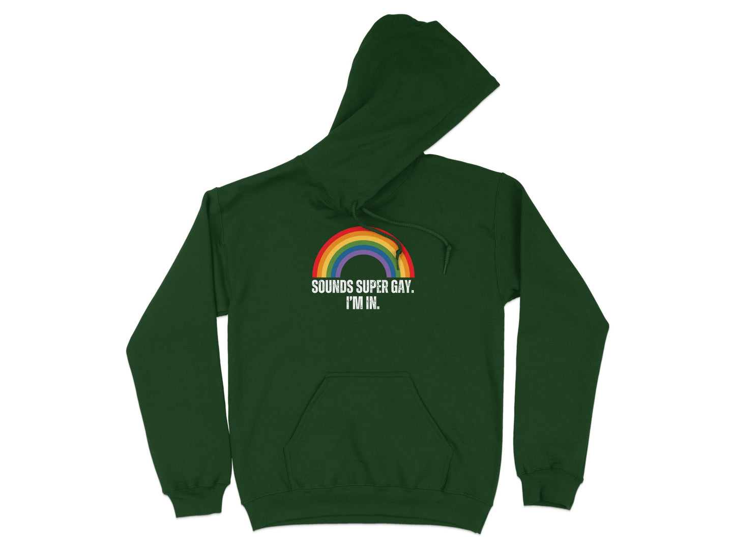 Sounds Super Gay I'm In Rainbow Hoodie product