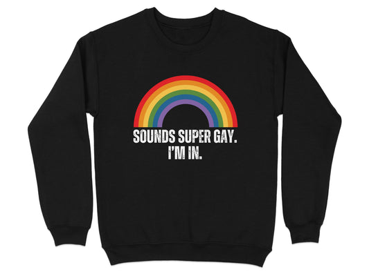 Sounds Super Gay I'm In Rainbow Sweater product
