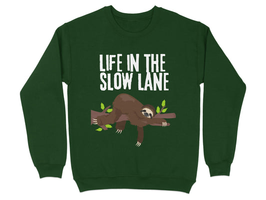 Life In The Slow Lane Sloth Graphic Sweatshirt product type