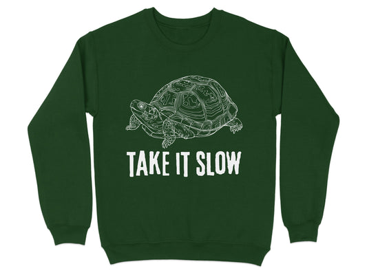 Take It Slow Turtle Graphic Sweatshirt product type