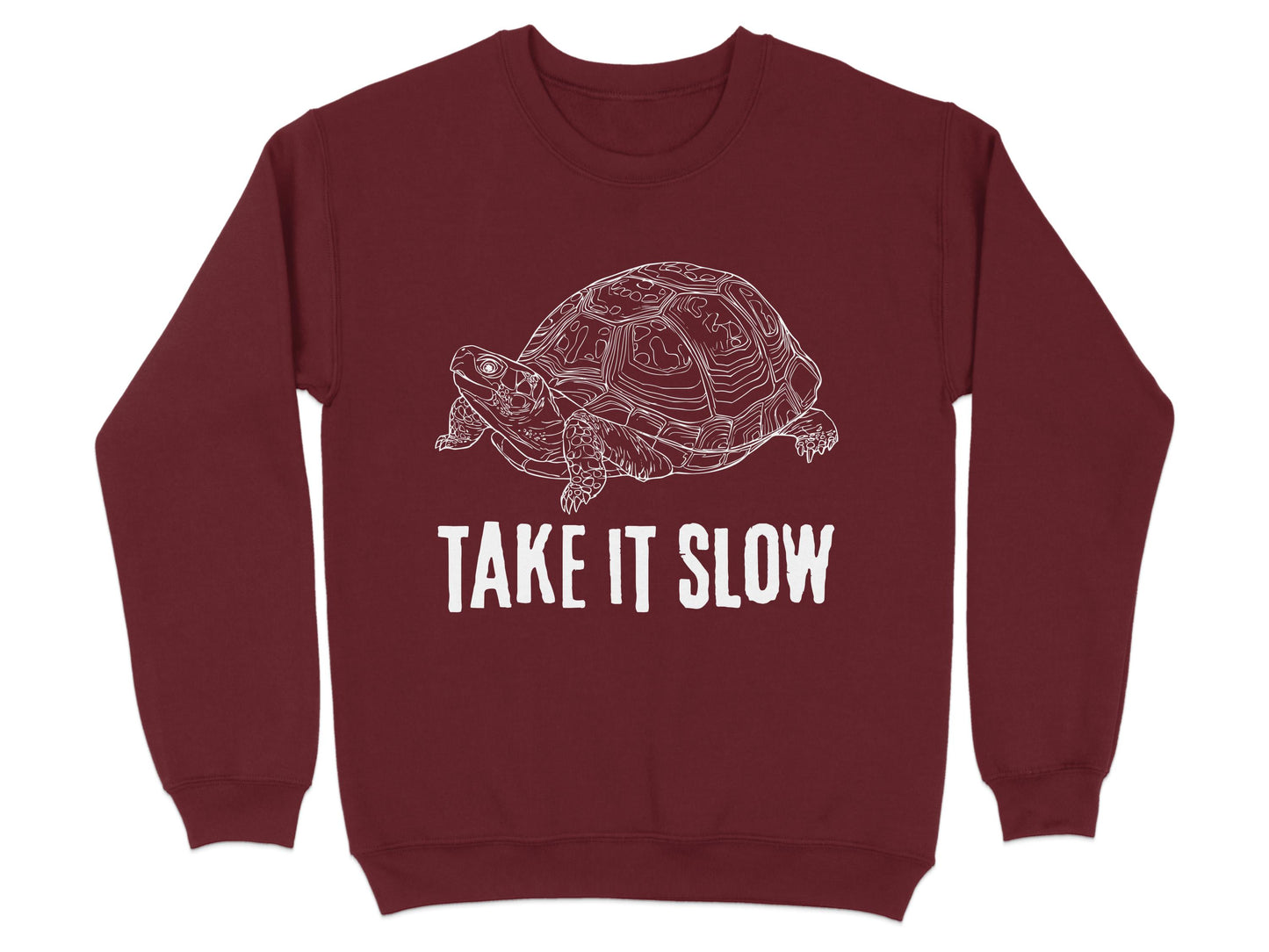 Take It Slow Turtle Graphic Sweatshirt product