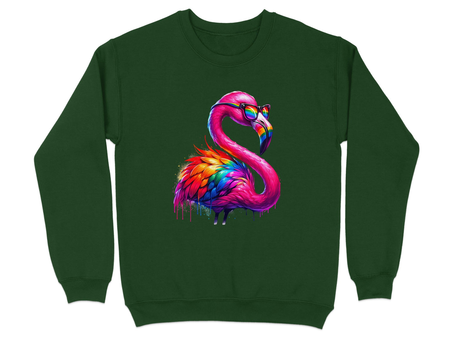 Colorful Flamingo Wearing Glasses Graphic Sweatshirt product type