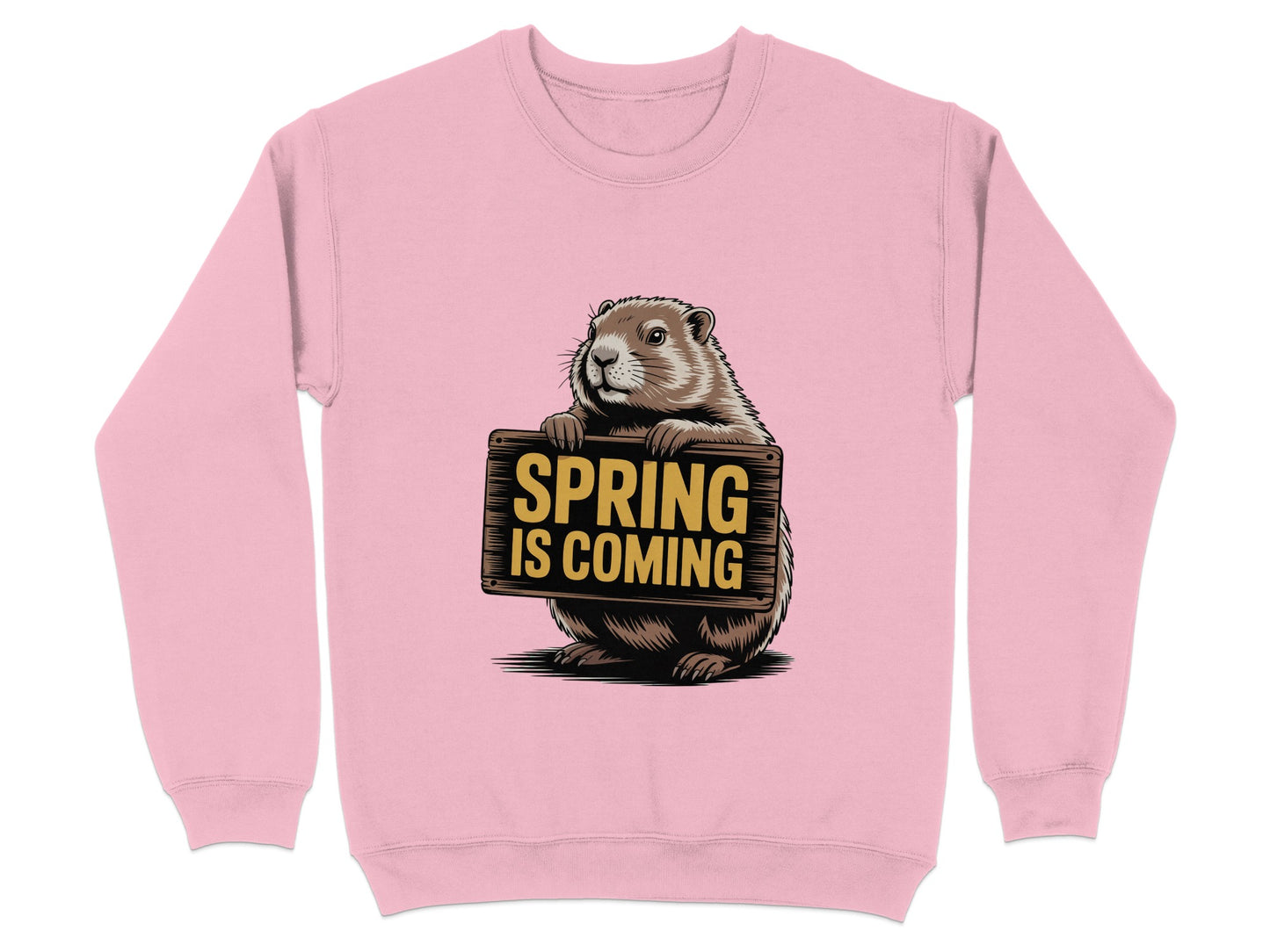 Spring Is Coming Groundhog Graphic Sweatshirt product